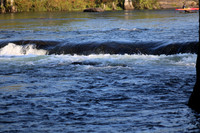 IMG_8330