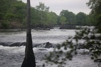 May 27, Wed. 10-2-photos