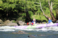 IMG_7547