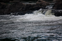 May 26 Sat. 2-4pm-photos
