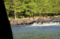 IMG_1980