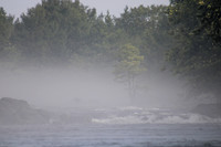 IMG_1984
