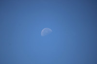 IMG_4852