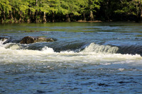 IMG_1010