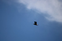 IMG_7449