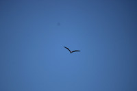 IMG_7446