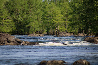 IMG_3591