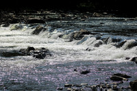 IMG_0005
