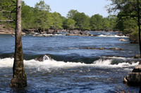 May 9, Sat. 11-1-photos