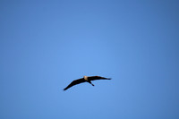 IMG_3608
