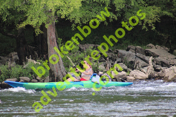 IMG_6519