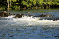 IMG_1011