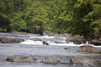 July 31, Wed 12-1-photos
