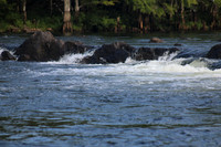 IMG_8113