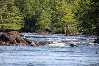 IMG_1004