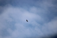 IMG_4855