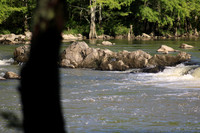 IMG_8820