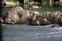 IMG_8821