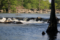 IMG_1085