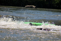 IMG_8540