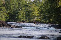 IMG_0447