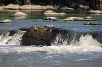 IMG_1090