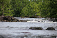 IMG_3773