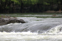 IMG_7741