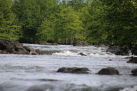 IMG_3774