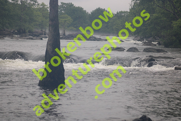 IMG_9520