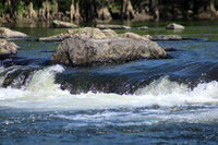 IMG_0540