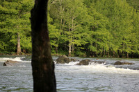 IMG_3780
